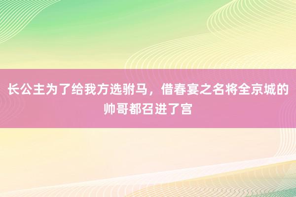 长公主为了给我方选驸马，借春宴之名将全京城的帅哥都召进了宫