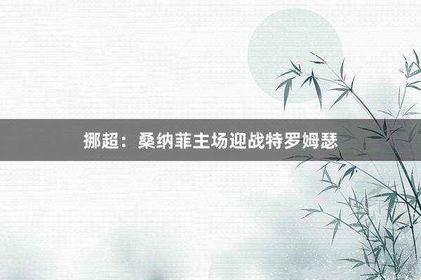 挪超：桑纳菲主场迎战特罗姆瑟