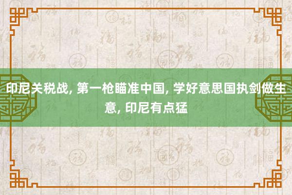 印尼关税战, 第一枪瞄准中国, 学好意思国执剑做生意, 印尼有点猛