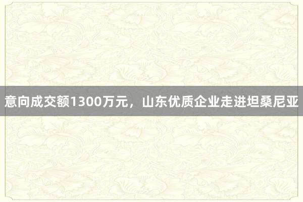 意向成交额1300万元，山东优质企业走进坦桑尼亚