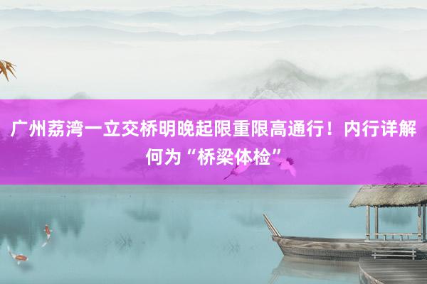 广州荔湾一立交桥明晚起限重限高通行！内行详解何为“桥梁体检”