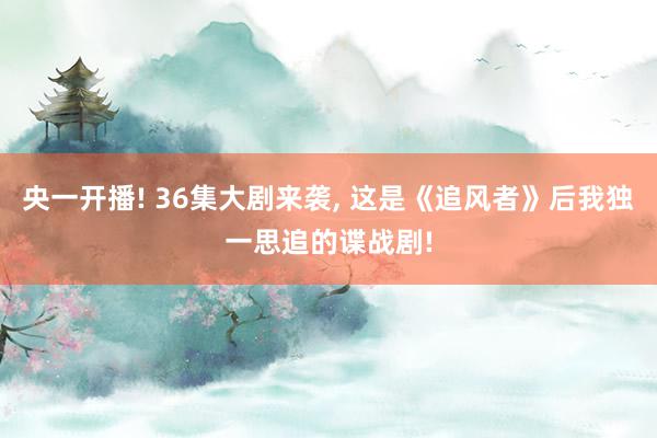 央一开播! 36集大剧来袭, 这是《追风者》后我独一思追的谍战剧!